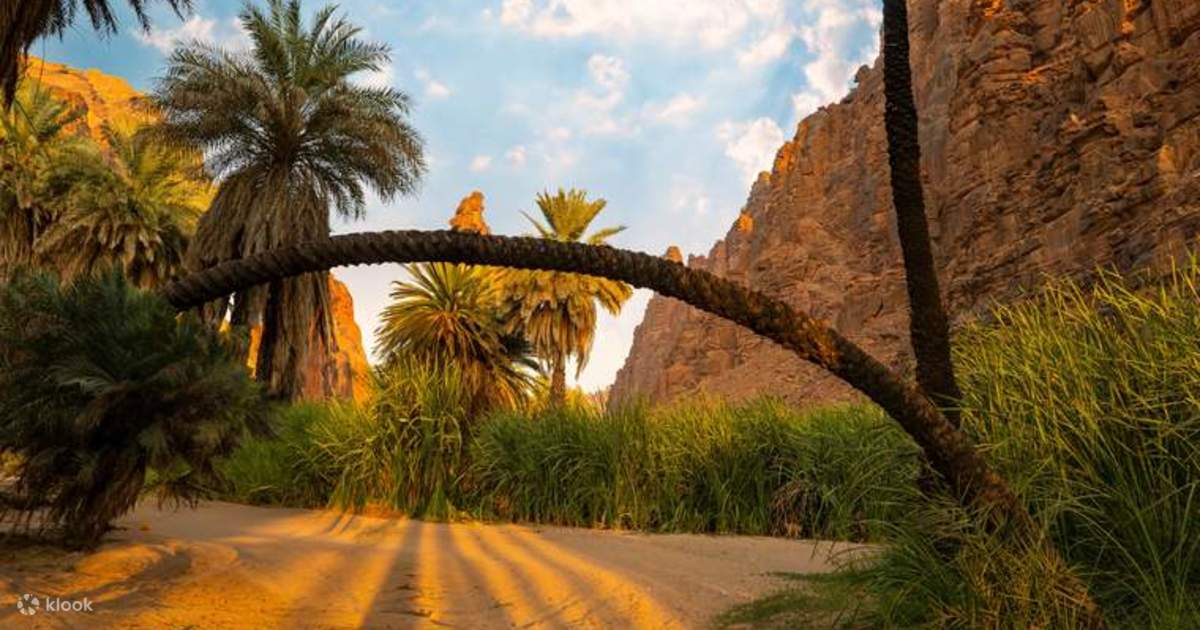 Exploring the Wonders of Al-Disah Valley - Klook Australia